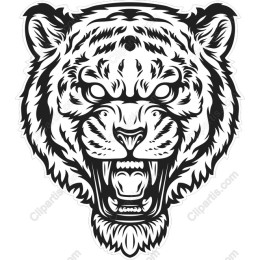 Roaring Tiger Head