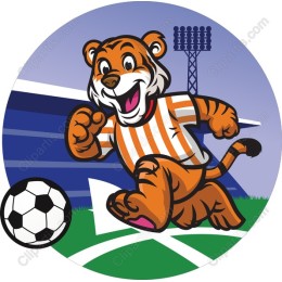 Tiger Soccer Sprint