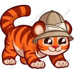 Playful Tiger Cub