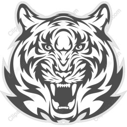 Fierce Tiger Head
