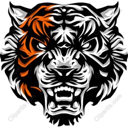 Majestic Tiger Head