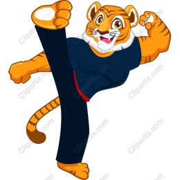 Karate Tiger