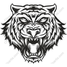 Fierce Tiger Head