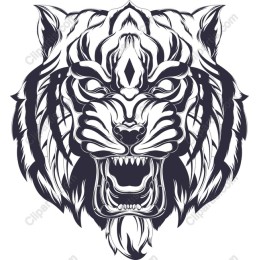 Fierce Tiger Head