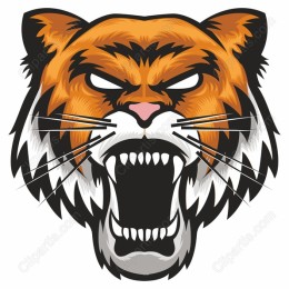 Fierce Tiger Head