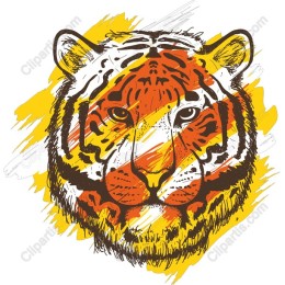 Vibrant Tiger Head