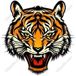 Fierce Tiger Head