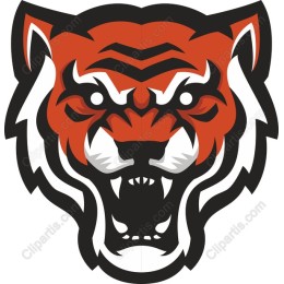 Fierce Tiger Head