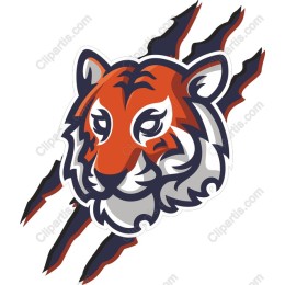 Fierce Tiger Head