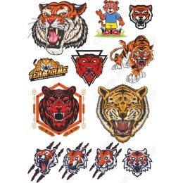 Tiger Bundle: Fierce & Playful