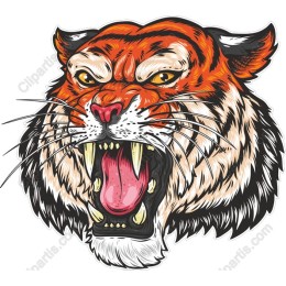 Fierce Tiger Head