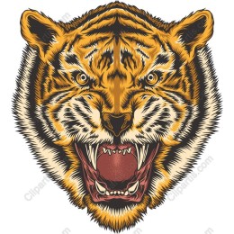 Fierce Roaring Tiger Head
