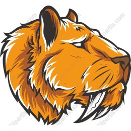 Saber-Toothed Tiger Head