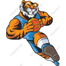 Fierce Tiger Basketball
