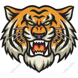Fierce Tiger Head