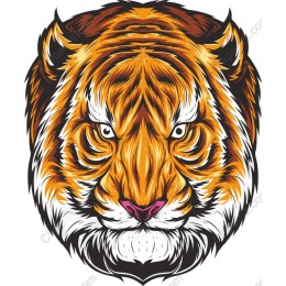 Fierce Tiger Head
