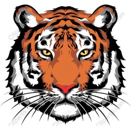 Majestic Tiger Face