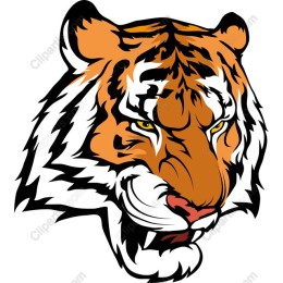 Tiger Head