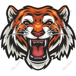 Fierce Tiger Head