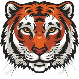 Majestic Tiger Face