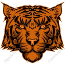 Fierce Tiger Head