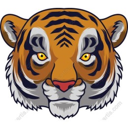 Fierce Tiger Head