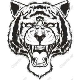 Roaring Tiger Head