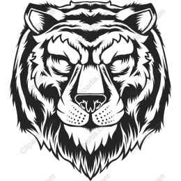 Majestic Tiger Head