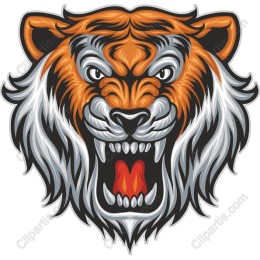 Fierce Tiger Head