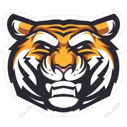 Fierce Tiger Head