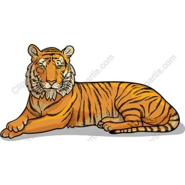 Majestic Tiger