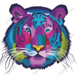 Colorful Tiger Face