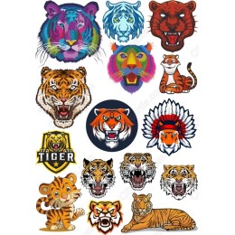 Tiger & Big Cat Bundle