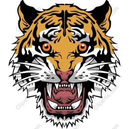 Fierce Tiger