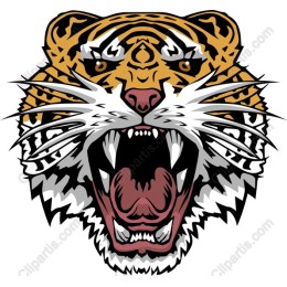 Fierce Tiger Head