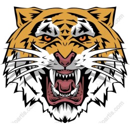 Majestic Tiger Head