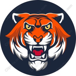 Fierce Tiger Head