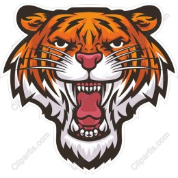 Roaring Tiger Head