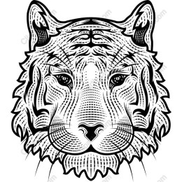 Majestic Tiger Head