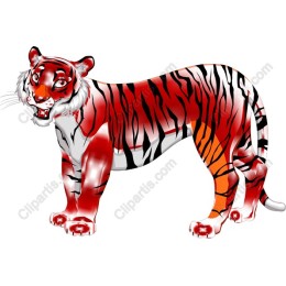Majestic Red Tiger