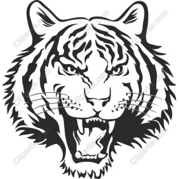 Roaring Tiger