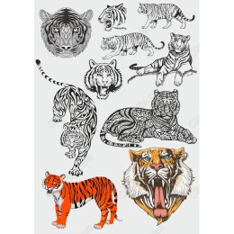 Majestic Tiger Bundle: Clipart Collection