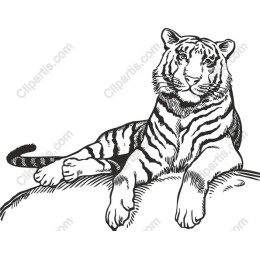 Majestic Tiger