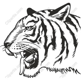 Fierce Tiger Head