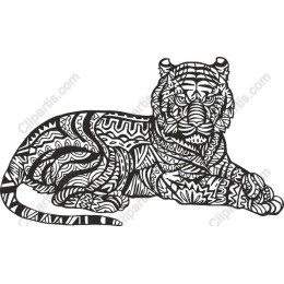 Black and White Tiger