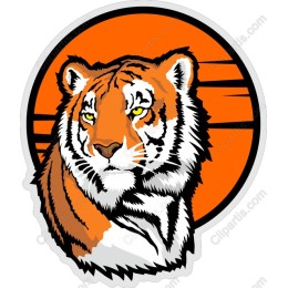 Majestic Tiger