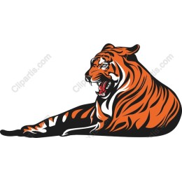 Majestic Tiger