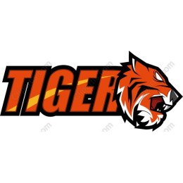 Fierce Tiger