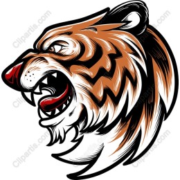 Roaring Tiger Head
