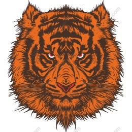 Vibrant Tiger Head work